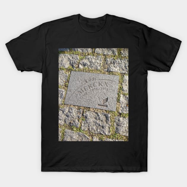 roubaix cobble of eddy merckx T-Shirt by acolename1